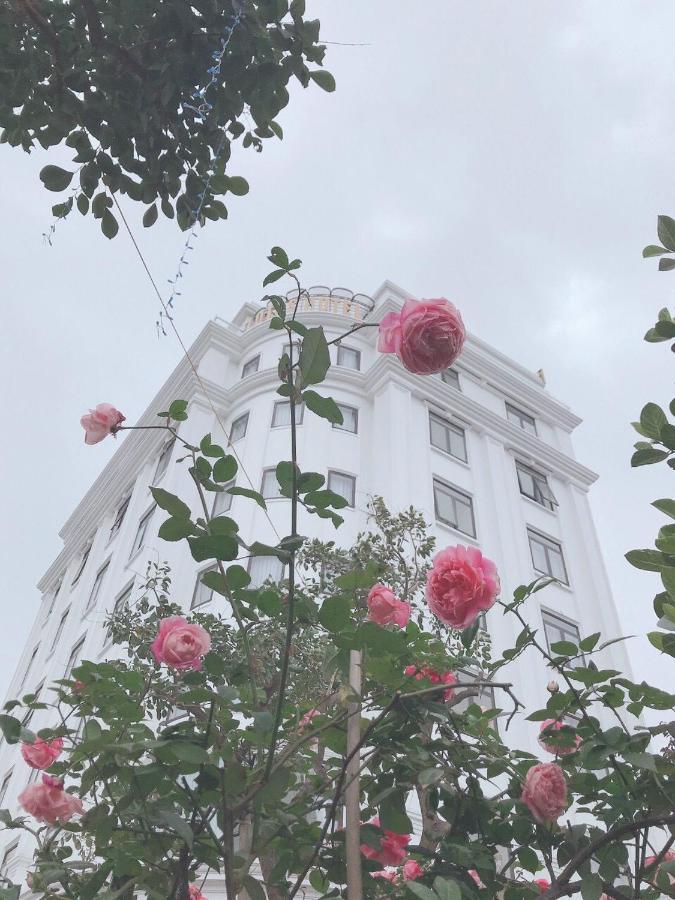 Aparthotel Lotus & *